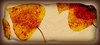 Pages 4