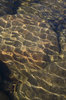 Pattern_5