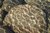 Pattern_4