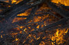 Fire 2