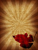 Burst 4