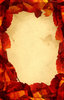 Leaf Paper 1