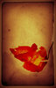 Vintage Page 1