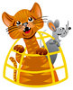 Cat & Mouse