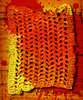 Rags & Tags 16
