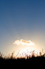 Heaven_ 4
