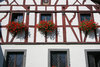 Mosel 7