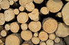 Log 2