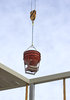 Crane 7