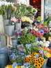 Flowers for sale