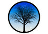 circle...