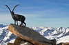 My beloved mountains 1