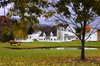 White farm in the fall