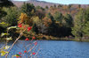 Lake in the fall near Peru, Ne