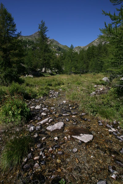 Landscapes Of Mountains