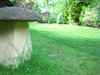 Garden 2