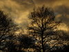 Sunset 5