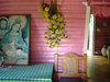 Sosua House
