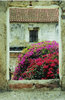 Time open windows