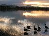 Summer Twilight 1