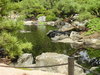 Denver's Asian Garden 2