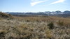 blue mountains 1