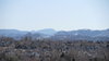 blue mountains 3