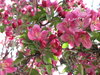 Spring 5