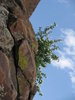 High desert 1