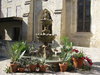 San Fernando Cathedral 10