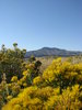 Colorado October
