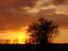 Sunset, Binche, BE