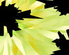 Cutting Glass 09