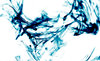 Blue Mist