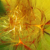 Spider's web 01