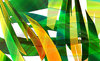 Welcome to the Jungle