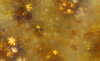 Goldfractalzzz 1