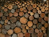 Stack of Wood