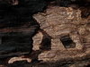 Texture