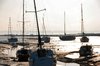 Estuary 1