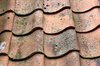 Roof tiles