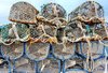 Lobster pots