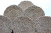 Straw Bales
