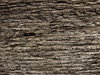 Texture
