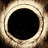 Coffee Filter 3