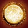 Coffee Filter 5