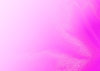 Fabric 4