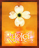 Rejoice! 2