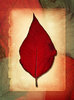 Leaf Collage