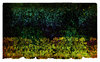 Abstract 1